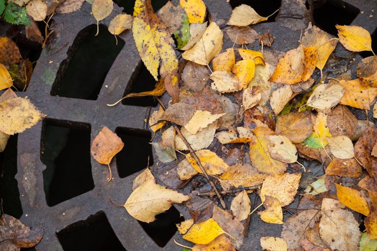 How to stop autmumn leaves blocking your drains – metro rod birmingham