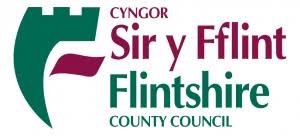 Flintshire County Council | Metro Rod Deeside North Wales