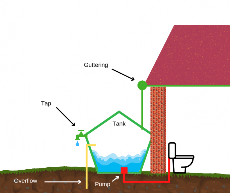 Illustration of an above-ground rainwater harvesting system