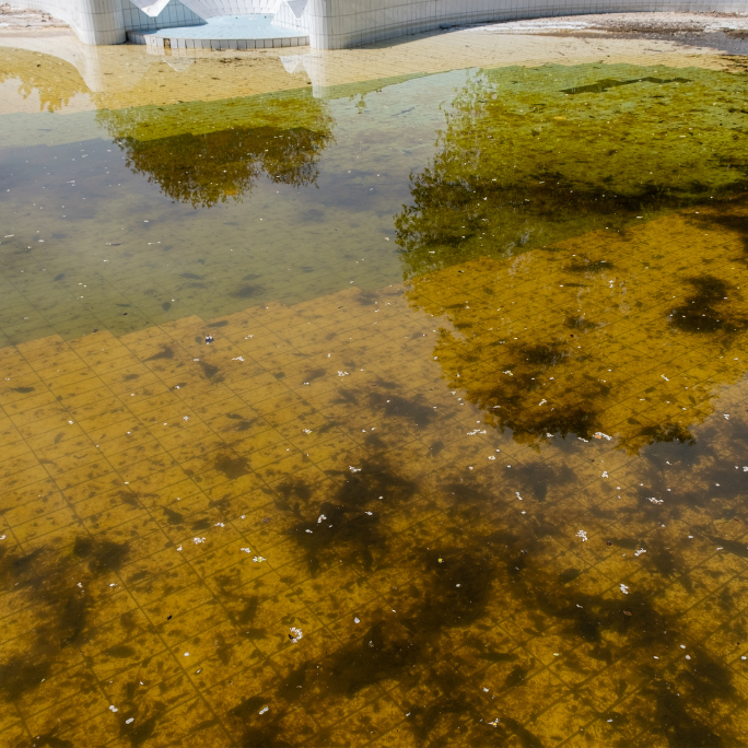 What is Stagnant Water? Risks, Prevention & Solutions