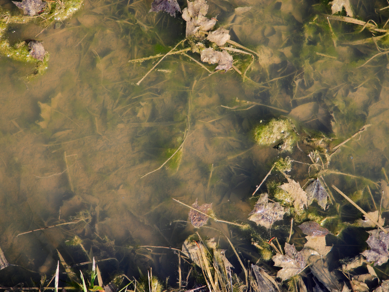 Metro Rod - What is Stagnant Water? Risks, Prevention & Solutions